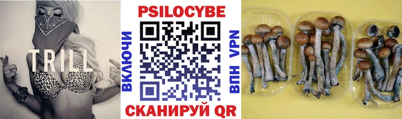 нарко площадка клад  kraken   Южа  Галлюциногенные грибы GOLDEN TEACHER 