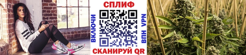mega ССЫЛКА  Южа  Каннабис Ganja  закладка 
